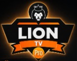 LION TV
